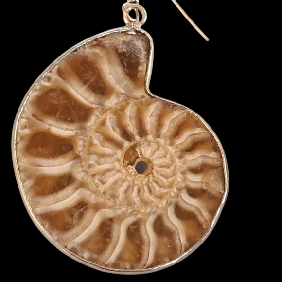 Unique Ammonite Fossil Earrings & Pendant Set 925 Sterling Silver "Stargazer" - Picture 8 of 13